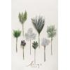 imageLings Moment Artificial Greenery Stems Box Set 30pcs with 8 Kinds of Faux Greenery Picks for DIY Bridal Bouquets Wedding Floral Arrangement Table Centerpieces Purple ampamp Dark GreenGrnsilver  Pine Green