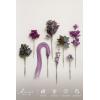 imageLings Moment Artificial Greenery Stems Box Set 30pcs with 8 Kinds of Faux Greenery Picks for DIY Bridal Bouquets Wedding Floral Arrangement Table Centerpieces Purple ampamp Dark GreenPrplplum  Plum Lily