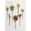imageLings Moment Artificial Greenery Stems Box Set 30pcs with 8 Kinds of Faux Greenery Picks for DIY Bridal Bouquets Wedding Floral Arrangement Table Centerpieces Purple ampamp Dark GreenOrterracota  Amber