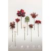 imageLings Moment Artificial Greenery Stems Box Set 30pcs with 8 Kinds of Faux Greenery Picks for DIY Bridal Bouquets Wedding Floral Arrangement Table Centerpieces Purple ampamp Dark GreenRedburgundy  Dusty Rose