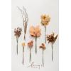 imageLings Moment Artificial Greenery Stems Box Set 30pcs with 8 Kinds of Faux Greenery Picks for DIY Bridal Bouquets Wedding Floral Arrangement Table Centerpieces Purple ampamp Dark GreenBrnbrown  Orange