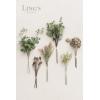 imageLings Moment Artificial Greenery Stems Box Set 30pcs with 8 Kinds of Faux Greenery Picks for DIY Bridal Bouquets Wedding Floral Arrangement Table Centerpieces Purple ampamp Dark GreenGrnbrown  Emerald