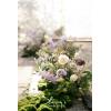 imageLings Moment Fake Flowers Box Faux Artificial Greenery Stems Foam Roses Silk Lilac for Wedding Decor Centerpieces Table Decorations Floral Arrangements Lavender ampamp Purple Mini ComboPrpllilac  Cream