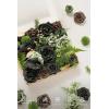 imageLings Moment Fake Flowers Box Faux Artificial Greenery Stems Foam Roses Silk Lilac for Wedding Decor Centerpieces Table Decorations Floral Arrangements Lavender ampamp Purple Mini ComboGrnemerald  Gold