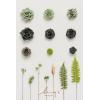 imageLings Moment Fake Flowers Box Faux Artificial Greenery Stems Foam Roses Silk Lilac for Wedding Decor Centerpieces Table Decorations Floral Arrangements Lavender ampamp Purple Mini ComboGrnemerald  Gold