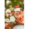 imageLings Moment Fake Flowers Box Faux Artificial Greenery Stems Foam Roses Silk Peony for Wedding Decor Centerpieces Table Decorations Floral Arrangements Orange ampamp Soft Peach Deluxe ComboOrorange  Nude