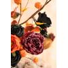 imageLings Moment Fake Flowers Box Faux Artificial Greenery Stems Foam Roses Silk Peony for Wedding Decor Centerpieces Table Decorations Floral Arrangements Orange ampamp Soft Peach Deluxe ComboBlkblack  Orange