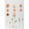 imageLings Moment Fake Flowers Box Faux Artificial Greenery Stems Foam Roses Silk Peony for Wedding Decor Centerpieces Table Decorations Floral Arrangements Orange ampamp Soft Peach Deluxe ComboOrapricot  Peach