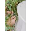 imageLings moment 2PCS Sage Green Artificial Flower Garland Wedding Arch Flowers Floral Swags Centerpieces Greenery Arrangements for SweetheartHead Table Easel Wall Entryway Board Backdrop DecorBrnapricot  Peach