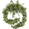 Grn-sage Green