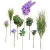 Prpl-purple & Dark Green