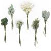 Grn-sage Green & White