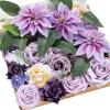 Prpl-lilac & Purple