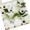 Wht-white & Dark Green