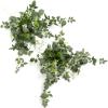Wht-white & Sage