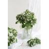 imageLings Moment Flowers 25pcs Fake Gardenia Burnt Terra Rust Artificial Flowers wStems Fake Flower for DIY Wedding Decorations Centerpieces Bouquets BoutonnieresGrnolive Grove