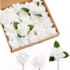 Wht-pure White