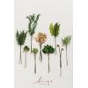 imageLings moment Artificial Greenery Stems Box Set 48pcs with 7 Kinds of Faux Greenery Picks for DIY Bridal Bouquets Wedding Floral Arrangement Table Centerpieces Tawny Beige ampamp Sand BeigeGrnemerald  Gold