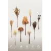 imageLings moment Artificial Greenery Stems Box Set 48pcs with 7 Kinds of Faux Greenery Picks for DIY Bridal Bouquets Wedding Floral Arrangement Table Centerpieces Tawny Beige ampamp Sand BeigeBrnwalnut Brown  Sand Biege
