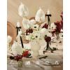 imageLings moment Artificial Greenery Stems Box Set 48pcs with 7 Kinds of Faux Greenery Picks for DIY Bridal Bouquets Wedding Floral Arrangement Table Centerpieces Tawny Beige ampamp Sand BeigeRedmoody Burgundy