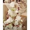 imageLings moment Artificial Greenery Stems Box Set 48pcs with 7 Kinds of Faux Greenery Picks for DIY Bridal Bouquets Wedding Floral Arrangement Table Centerpieces Tawny Beige ampamp Sand BeigeRedmoody Burgundy