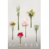 imageLings moment Artificial Greenery Stems Box Set 48pcs with 7 Kinds of Faux Greenery Picks for DIY Bridal Bouquets Wedding Floral Arrangement Table Centerpieces Tawny Beige ampamp Sand BeigePkpassionate Pink  Blush