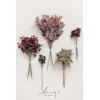 imageLings moment Artificial Greenery Stems Box Set 48pcs with 7 Kinds of Faux Greenery Picks for DIY Bridal Bouquets Wedding Floral Arrangement Table Centerpieces Tawny Beige ampamp Sand BeigePrplpurple  Burgundy