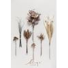 imageLings moment Artificial Greenery Stems Box Set 48pcs with 7 Kinds of Faux Greenery Picks for DIY Bridal Bouquets Wedding Floral Arrangement Table Centerpieces Tawny Beige ampamp Sand BeigeBrnbrown  Beige