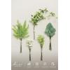 imageLings moment Artificial Greenery Stems Box Set 48pcs with 7 Kinds of Faux Greenery Picks for DIY Bridal Bouquets Wedding Floral Arrangement Table Centerpieces Tawny Beige ampamp Sand BeigeGrnlight Green  White