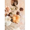 imageLings moment Fake Flowers Box Faux Artificial Greenery Stems Foam Roses Silk Fabic Flower for Centerpieces Bouquet Wedding Table Floral Arrangements Bridal Shower Party Tawny Beige Deluxe ComboBrnbrown  Apricot