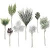 Grn-silver & Pine Green