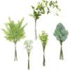 Grn-light Green & White