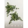 imageLings moment 2PCS Artificial Flower Garland Light Purple Floral Swags Wedding Arch Flowers Lilac Table Centerpieces Decoration Rose Garlands Greenery Arrangements for SweetheartHead Table DecorWhtwhite  Sage
