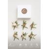 imageLings moment Boutonniere for Men 6pcs Groom Groomsmen Boutonniere Artificial Flowers for Wedding DecorPromHomecoming etcSand Beige WhiteBrnbrown