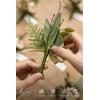 imageLings moment Boutonniere for Men 6pcs Groom Groomsmen Boutonniere Artificial Flowers for Wedding DecorPromHomecoming etcSand Beige WhiteBrnbrown
