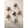 imageLings moment Boutonniere for Men 6pcs Groom Groomsmen Boutonniere Artificial Flowers for Wedding DecorPromHomecoming etcSand Beige WhiteBrnsand Beige  White