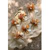 imageLings moment Boutonniere for Men 6pcs Groom Groomsmen Boutonniere Artificial Flowers for Wedding DecorPromHomecoming etcSand Beige WhiteOrrust Boho  Terracotta