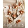 imageLings moment Boutonniere for Men 6pcs Groom Groomsmen Boutonniere Artificial Flowers for Wedding DecorPromHomecoming etcSand Beige WhiteOrrust Boho  Terracotta