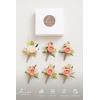 imageLings moment Boutonniere for Men 6pcs Groom Groomsmen Boutonniere Artificial Flowers for Wedding DecorPromHomecoming etcSand Beige WhitePkblush Pink  Coral