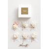 imageLings moment Boutonniere for Men 6pcs Groom Groomsmen Boutonniere Artificial Flowers for Wedding DecorPromHomecoming etcSand Beige WhitePkcream  Blush