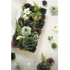 imageLings moment Fake Flowers Box Faux Artificial Greenery Stems Foam Roses Silk Leaves for Centerpieces Bouquet Wedding Floral Arrangements Bridal Shower Party Lavender ampamp Cream Deluxe ComboGrnemerald  Gold