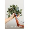 image:imageLings moment Artificial Wedding Flower Bouquets for Bridesmaids Ivory Floral Bouquet Beige Bridal Bouquets for Bridesmaids with Ribbon Ceremony Anniversary7inch DiameterOrorange  Dark Teal