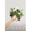 image:imageLings moment Artificial Wedding Flower Bouquets for Bridesmaids Ivory Floral Bouquet Beige Bridal Bouquets for Bridesmaids with Ribbon Ceremony Anniversary7inch DiameterRedposyblush  Marsala