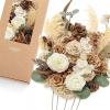 Beg-earth Brown & Tawny Beige