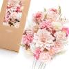Pk-pink & Pale Pink