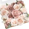 Pk-dusty Rose & Cream