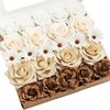 Beg-tawny Beige & Earth Brown