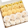 Ylw-creamy Yellow & Cream