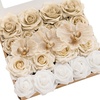 Beg-tawny Beige & White