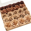 Brn-walnut Brown & Sand Biege